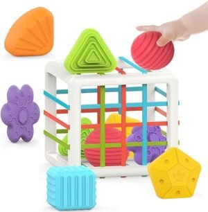 6 Pc Multi Sensory Shape