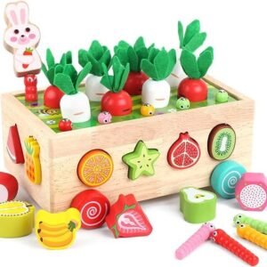 Wooden Educational Toys